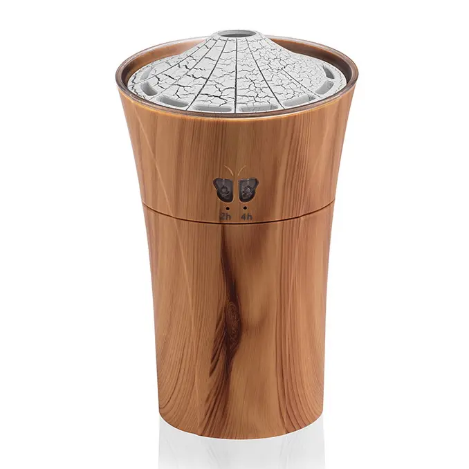 The electric car diffuser GF25EAV31E46M from Green-Life combines stylish design and reliable performance for private label clients.