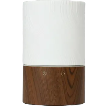 Green-Life ceramic and wood nebulizing diffuser GF25EW208E11 combining natural materials and minimalist modern design