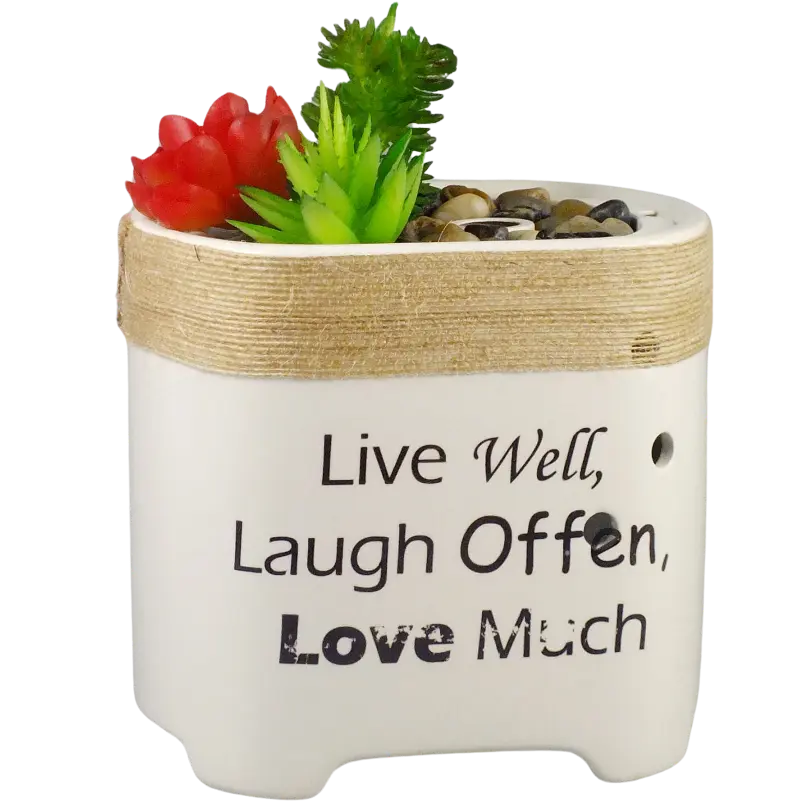 Green-Life ceramic ultrasonic diffuser GLEA20156S with succulent planter concept, suitable for gift brands, lifestyle retailers, and buyers seeking playful botanical diffuser designs.