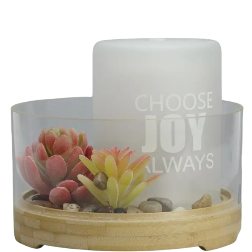 Green-Life glass ultrasonic diffuser GL24EA736 with succulent decor concept combining aromatherapy with decorative plant elements for lifestyle fragrance product collections.