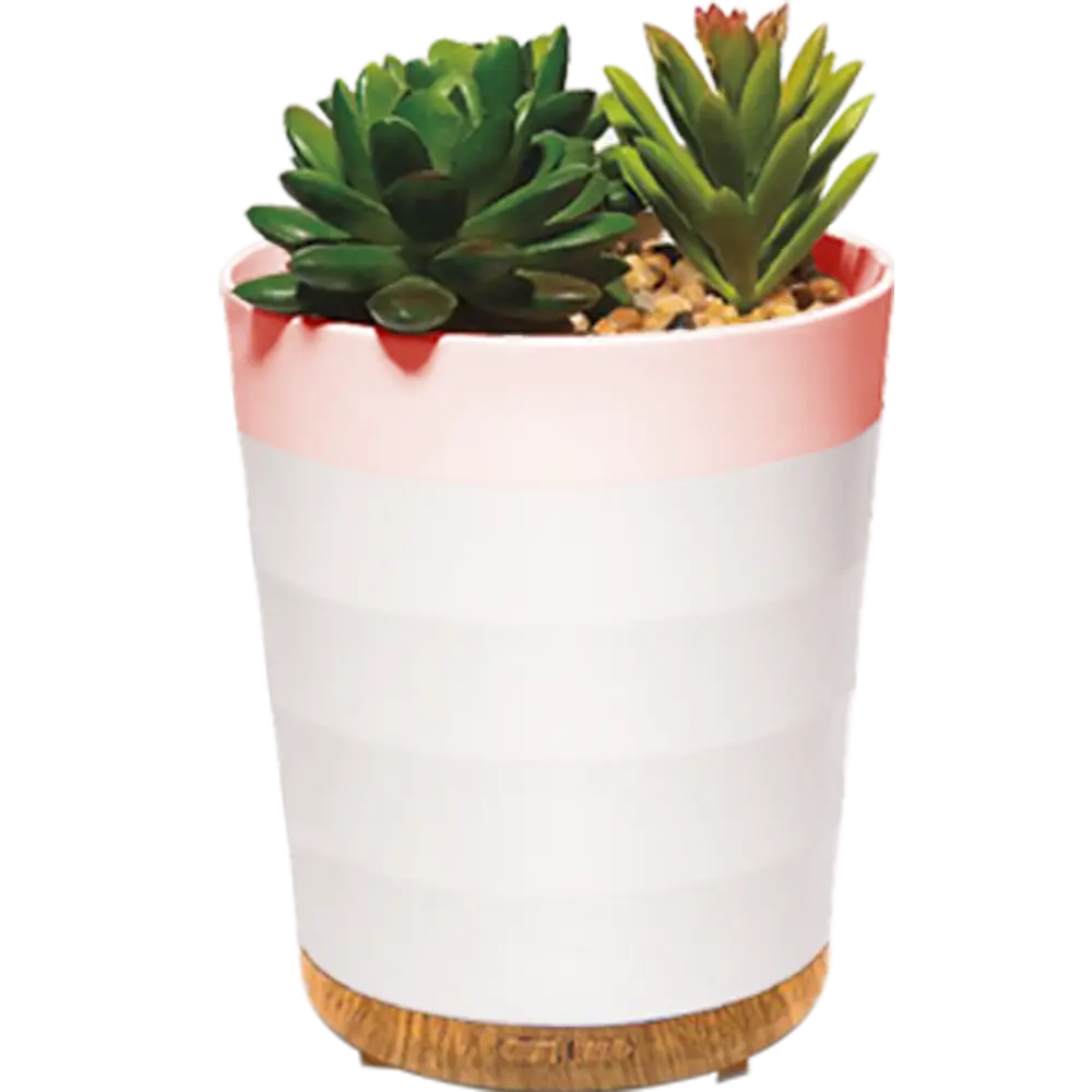 Green-Life plastic ultrasonic diffuser GF24EA211E14 with succulent decor concept, combining plant display with aroma diffusion for lifestyle fragrance collections.