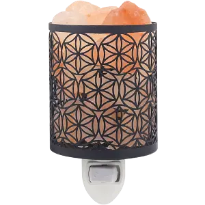 Green-Life metal plug-in salt warmer GF24ES1486E14 designed for heating salt crystals and wax melts, offering dual-use fragrance and ambient lighting for wellness and specialty retail markets.