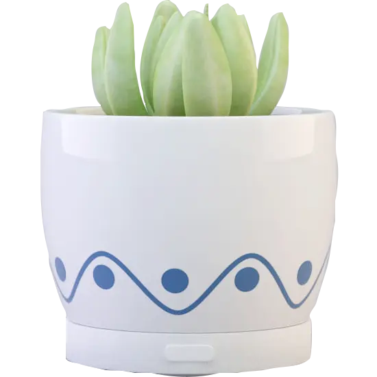 Green-Life ceramic fan diffuser GF24EW268E13 with succulent decoration concept combining plant style aesthetics and airflow fragrance diffusion for lifestyle retail programs.