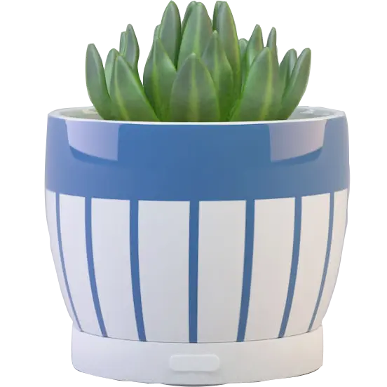 Green-Life ceramic fan diffuser GF24EW269E13 with succulent decoration concept combining plant style aesthetics and airflow fragrance diffusion for lifestyle retail programs.