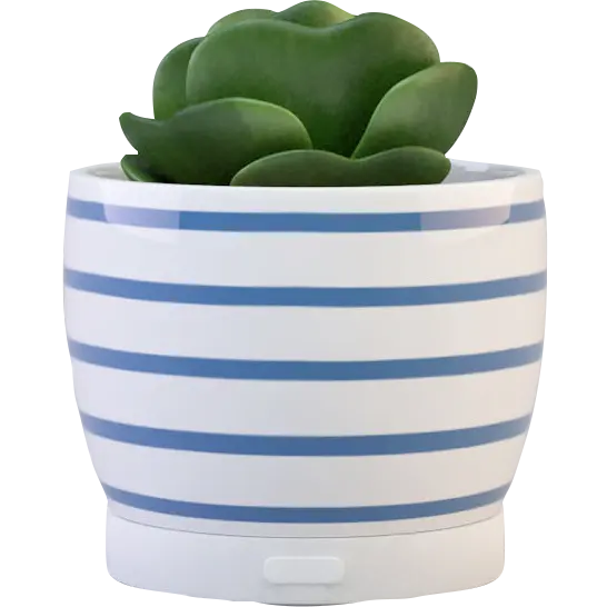 Green-Life ceramic fan diffuser GF24EW270E13 with succulent decoration concept combining plant style aesthetics and airflow fragrance diffusion for lifestyle retail programs.