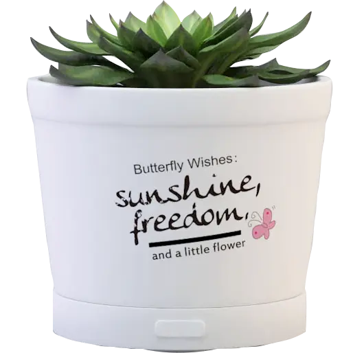 Green-Life ceramic fan diffuser GF24EW275E13 with succulent decoration concept combining plant style aesthetics and airflow fragrance diffusion for lifestyle retail programs.