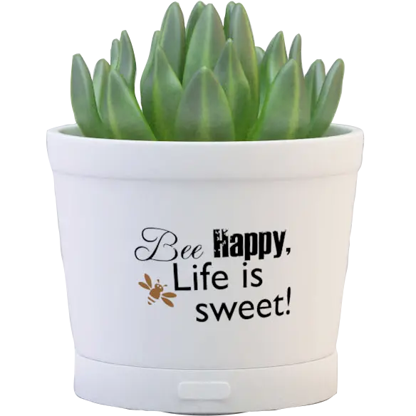 Green-Life ceramic fan diffuser GF24EW276E13 with succulent decoration concept combining plant style aesthetics and airflow fragrance diffusion for lifestyle retail programs.
