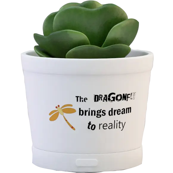 Green-Life ceramic fan diffuser GF24EW277E13 with succulent decoration concept combining plant style aesthetics and airflow fragrance diffusion for lifestyle retail programs.