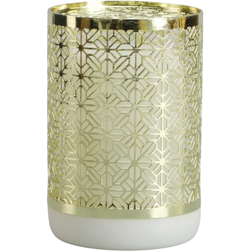 Green-Life metal wall plug fan diffuser GL25EF0995 with decorative housing, developed for convenient fragrance diffusion in small spaces and private label aroma collections.