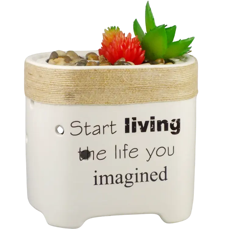 Green-Life ceramic ultrasonic diffuser GLEA20154S with succulent planter concept, suitable for gift brands, lifestyle retailers, and buyers seeking playful botanical diffuser designs.