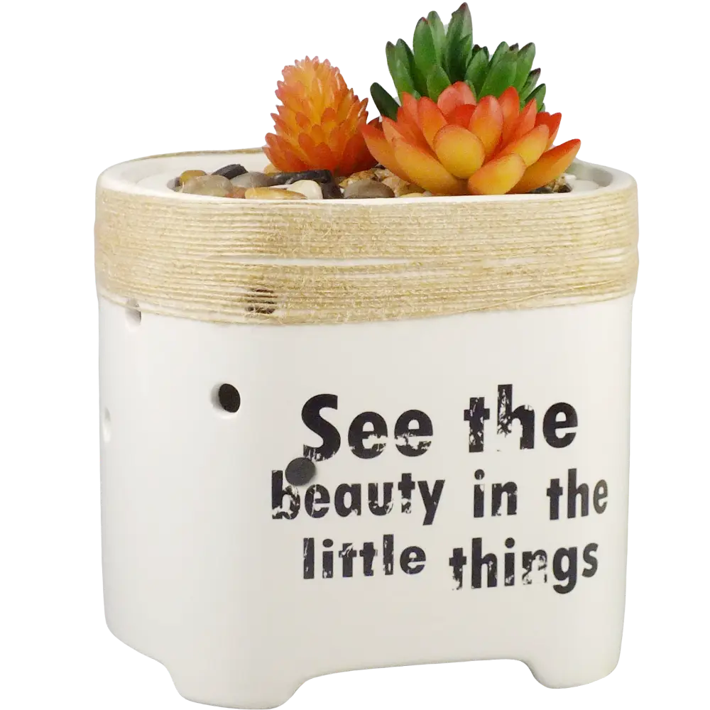 Green-Life ceramic ultrasonic diffuser GLEA20155S with succulent planter concept, suitable for gift brands, lifestyle retailers, and buyers seeking playful botanical diffuser designs.