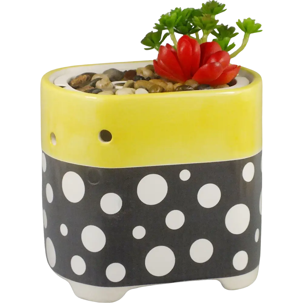 Green-Life ceramic ultrasonic diffuser GLEA20160S with succulent planter concept, suitable for gift brands, lifestyle retailers, and buyers seeking playful botanical diffuser designs.