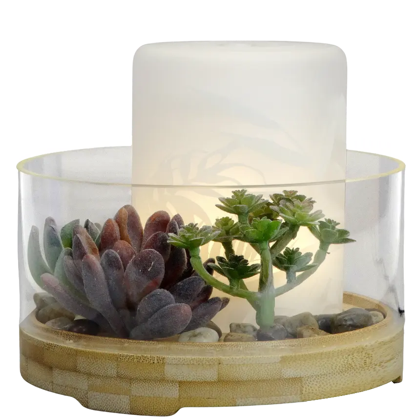 Green-Life glass ultrasonic diffuser GL24EA737 with succulent decor concept combining aromatherapy with decorative plant elements for lifestyle fragrance product collections.